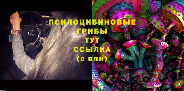 соль курить ск Алексеевка